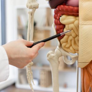 Uso Clínico de Vitaminas e Minerais - Imersão em Saúde